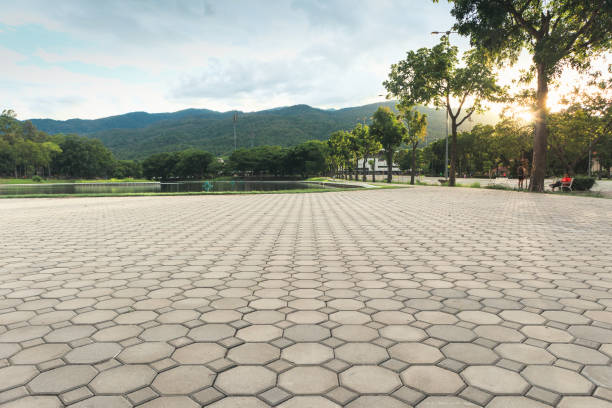 Best Custom Driveway Pavers  in Morro Bay, CA